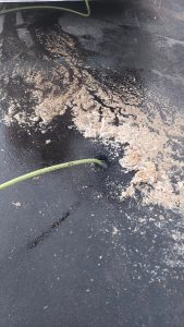debris removed from a clogged sewer line during professional drain cleaning service